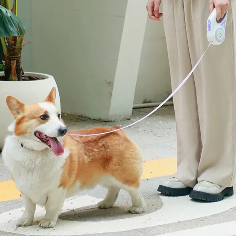 犬用の自動回転式トラベルバッグ,LED懐中電灯付き,ウォーキング,耐久性のあるナイロン,屋外での使用に適しています,3m, 5m