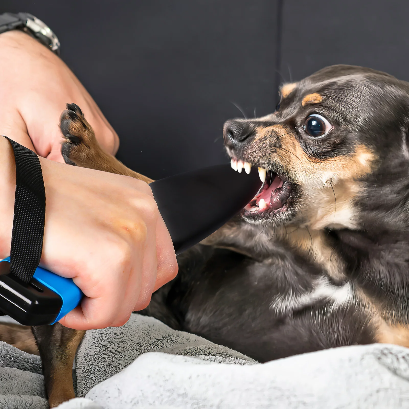 

Dog Training Equipment Break Rod For Medium Large Dogs Durable Chew Training Stick For Hunting Patrolling Dog Game Rod