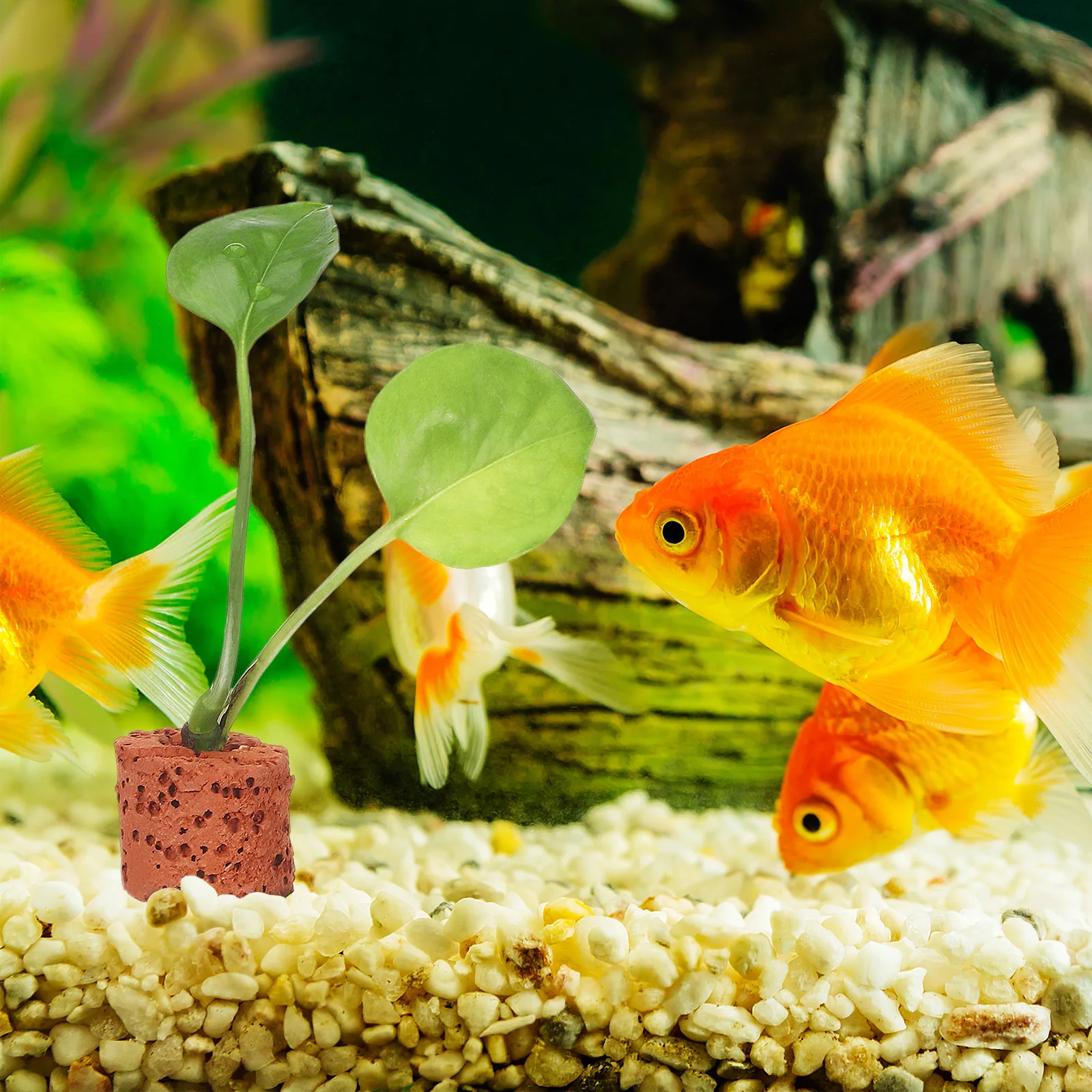 

30 Pcs Water Grass Fixed Ring Aquarium Plant Anchors Fish Tank Holder Suitable for Small Tank L Practical Durable Pottery