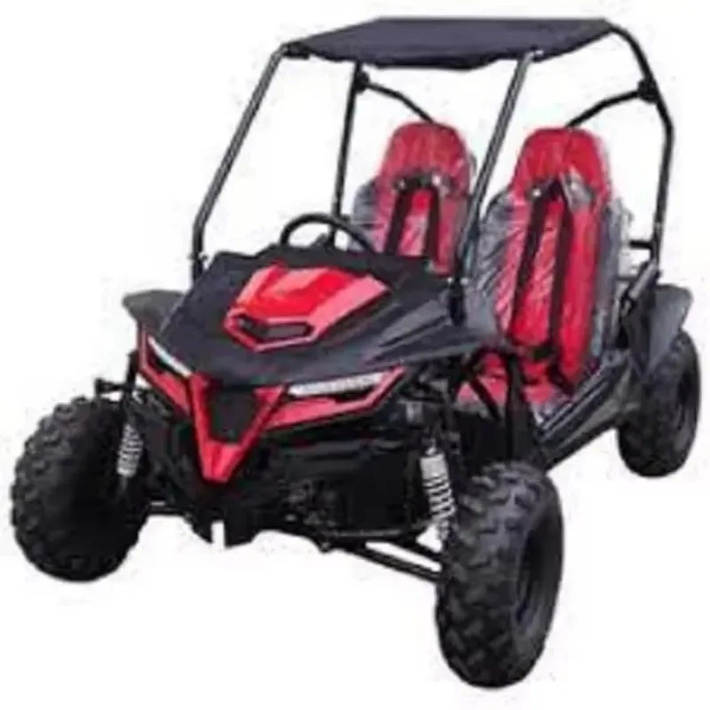 2020 Renli EEC5 500cc 4x4 Racing Dune Buggy 2 Seat Cheap Go Karts