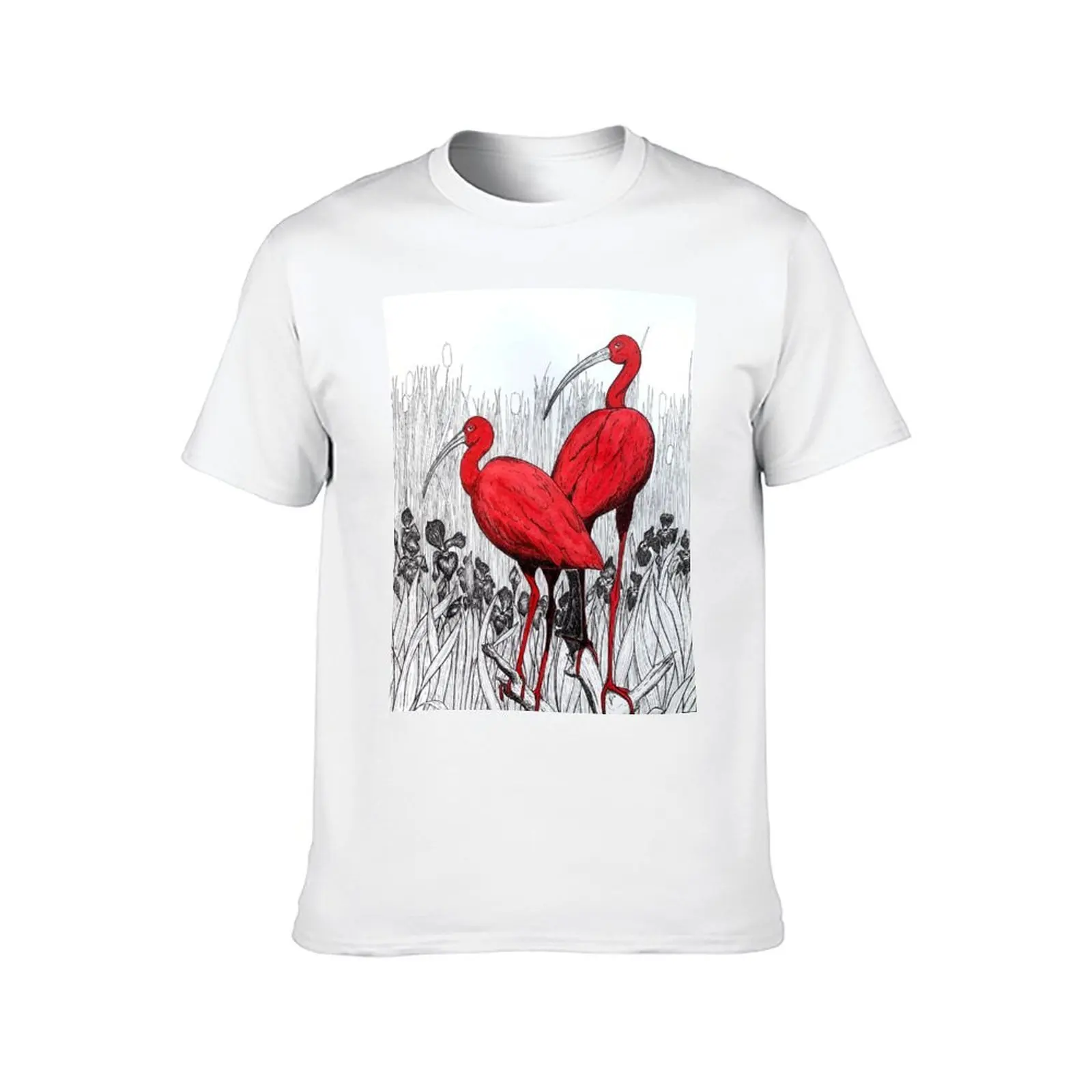 تي شيرت أحمر ibis تي شيرت للرجال بقصة ضيقة تي شيرت للرجال 100 بالمائة قطن