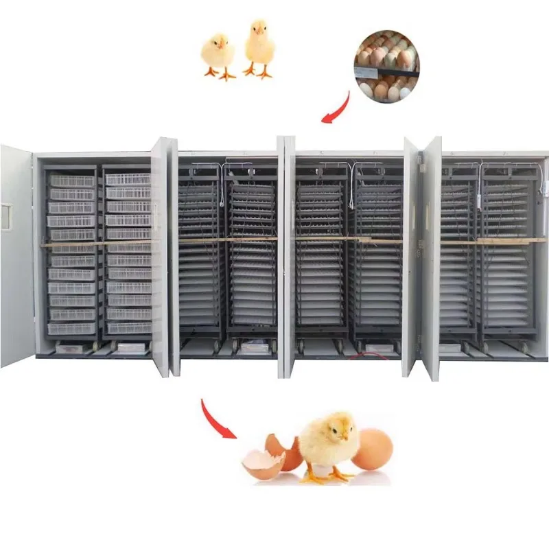 Micro Computer Controlling 50000 Birds Chicken Egg Incubator Fully Automatic Hatchery Equipment Customized