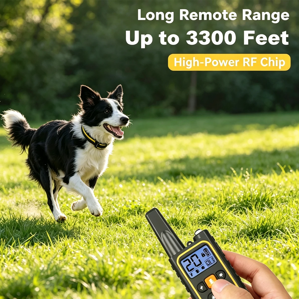 Remote Control Rechargeable Dog Waterproof Electric Shock Training Anti-barking Collar Two Dogs Supplies Pets Accessories
