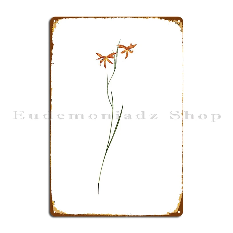 Gladiolus Watsonius Flower Metal Sign Home Garage Plaques Garage Design Cinema Tin Sign Poster