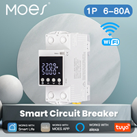 MOES WiFi Tuya Smart Circuit Breaker 80A Alarm Threshold Set Electricity Monitor V0 Fireproof Retardant APP Control With Alexa