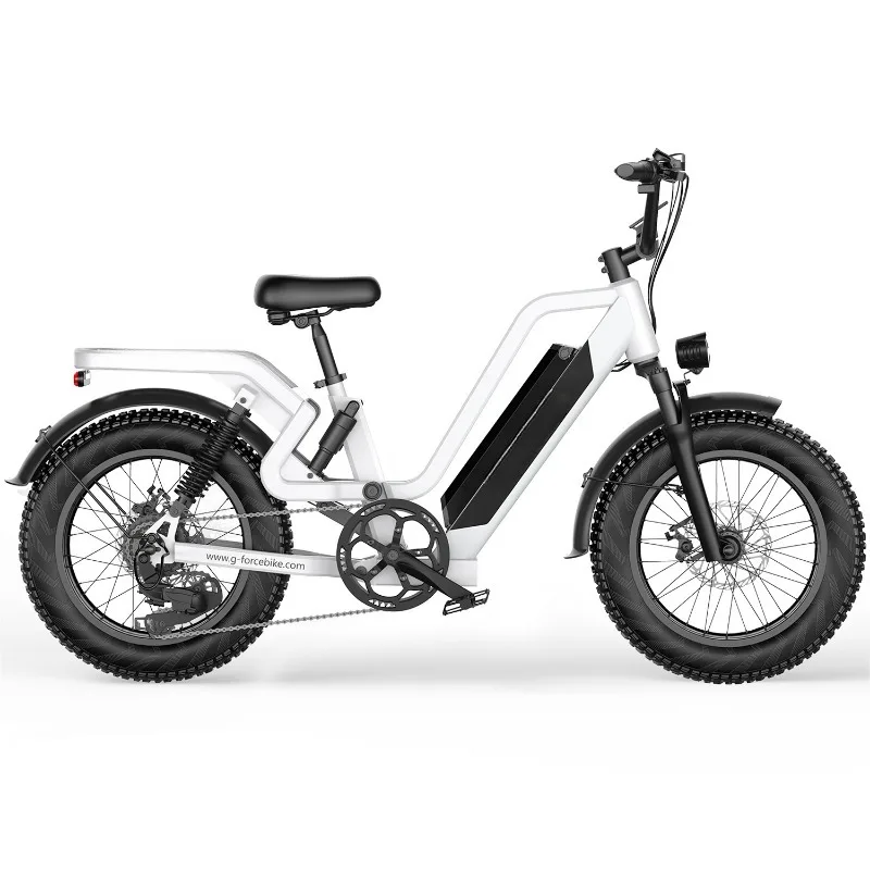 RS 750W 48V 25AH 20-inch7-speed retro off-road electric bike Europe, America, city, mountain, road bike Professional laborsaving