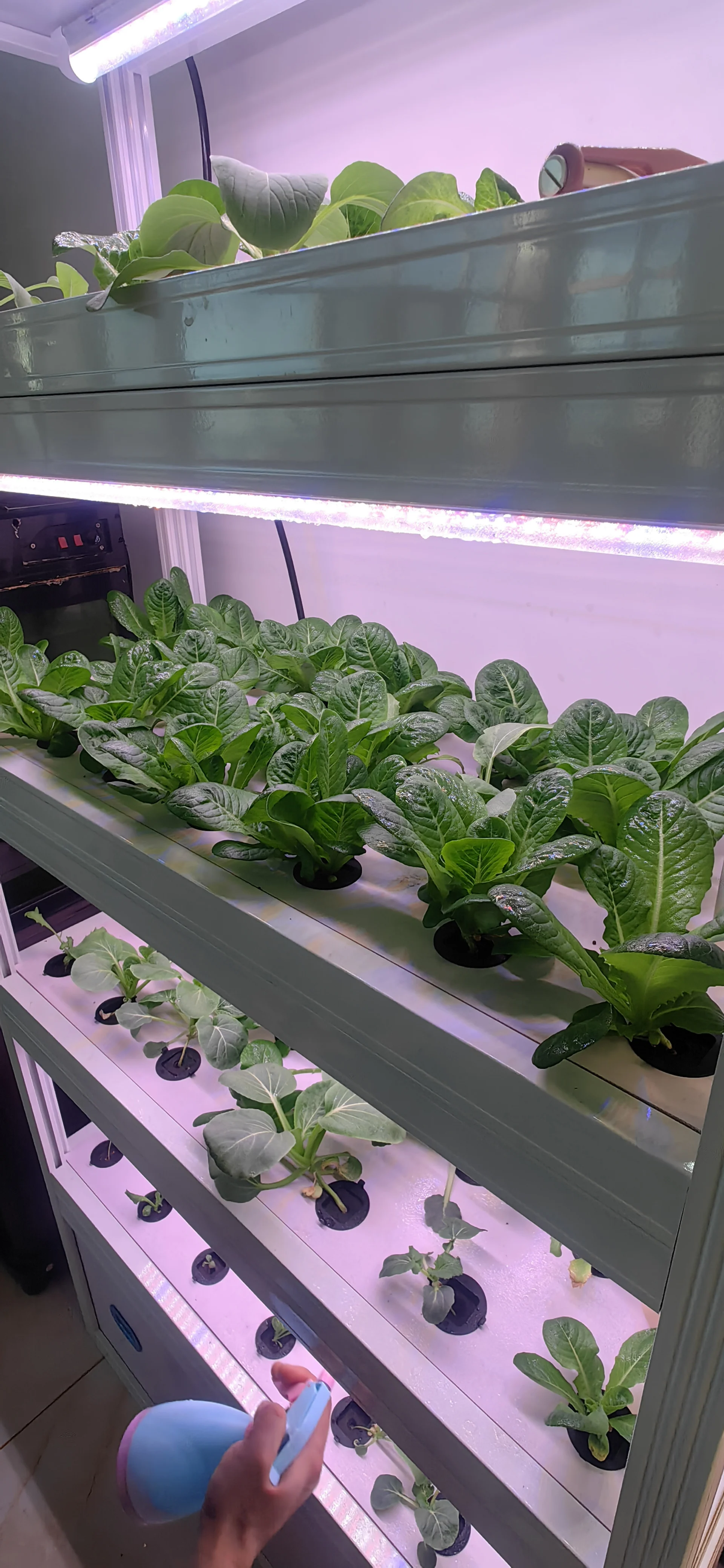 رف شرفة بدون تربة، ضوء مضخة أوتوماتيكي، ذكي عمودي داخلي صغير، آلة زراعة الخضروات المائية، متعدد الطبقات #3