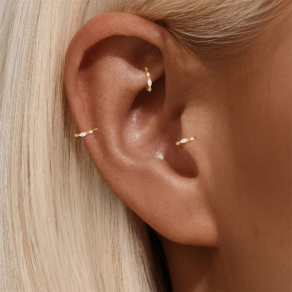 CANNER 925 Sterling Silver Gold Plated Hoop Earrings Clear Zircon Luxury Stud Earrings For Women Fashion Piercing Jewelry Gift