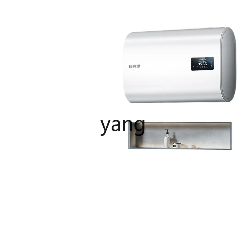 LH double bile flat bucket electric water heater household wash 60L energy saving quick heating