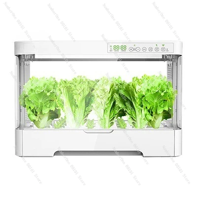Hydroponic vegetable equipment - household soilless lettuce planting box
