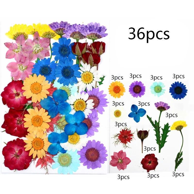 1 Pack Resin Beauty Art Decals Epoxy Mold Fillings Dry Flower Mixed Dried Flower Pressed Leaf Daisy Flower Herbs Kit