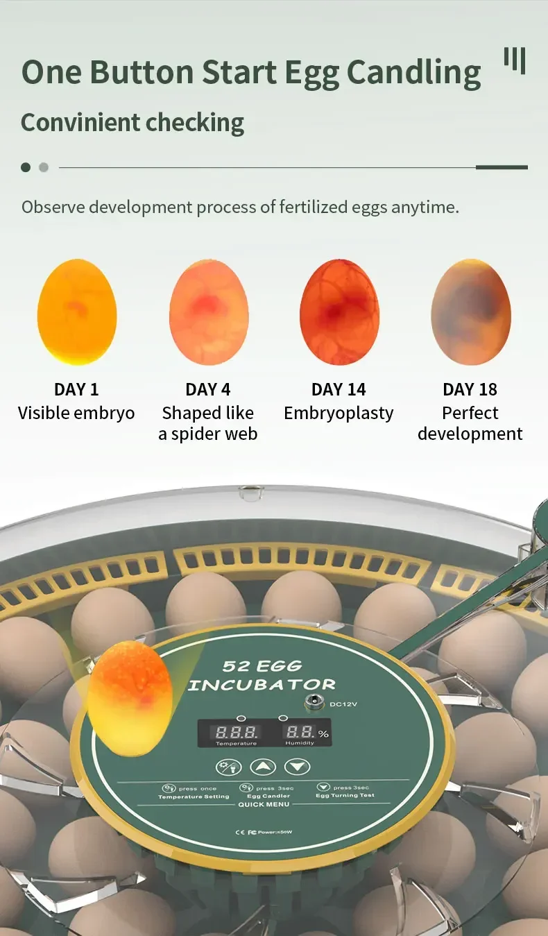 52 สีใหม่ 12V DC Bird Egg Incubator Hatch Egg Incubator