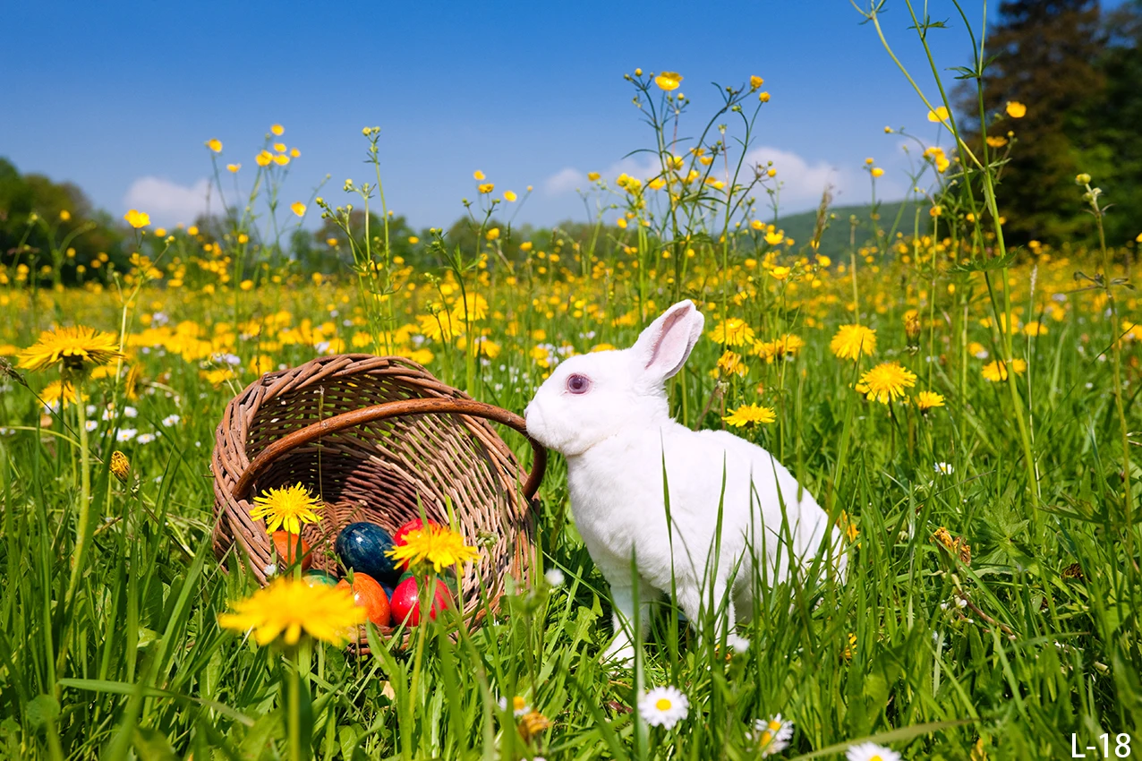 Cute Rabbit Bunny For Easter Photography Backdrops Countryside Green Grass Eggs Spring Sunshine Flowers Backgrounds Wall Decor