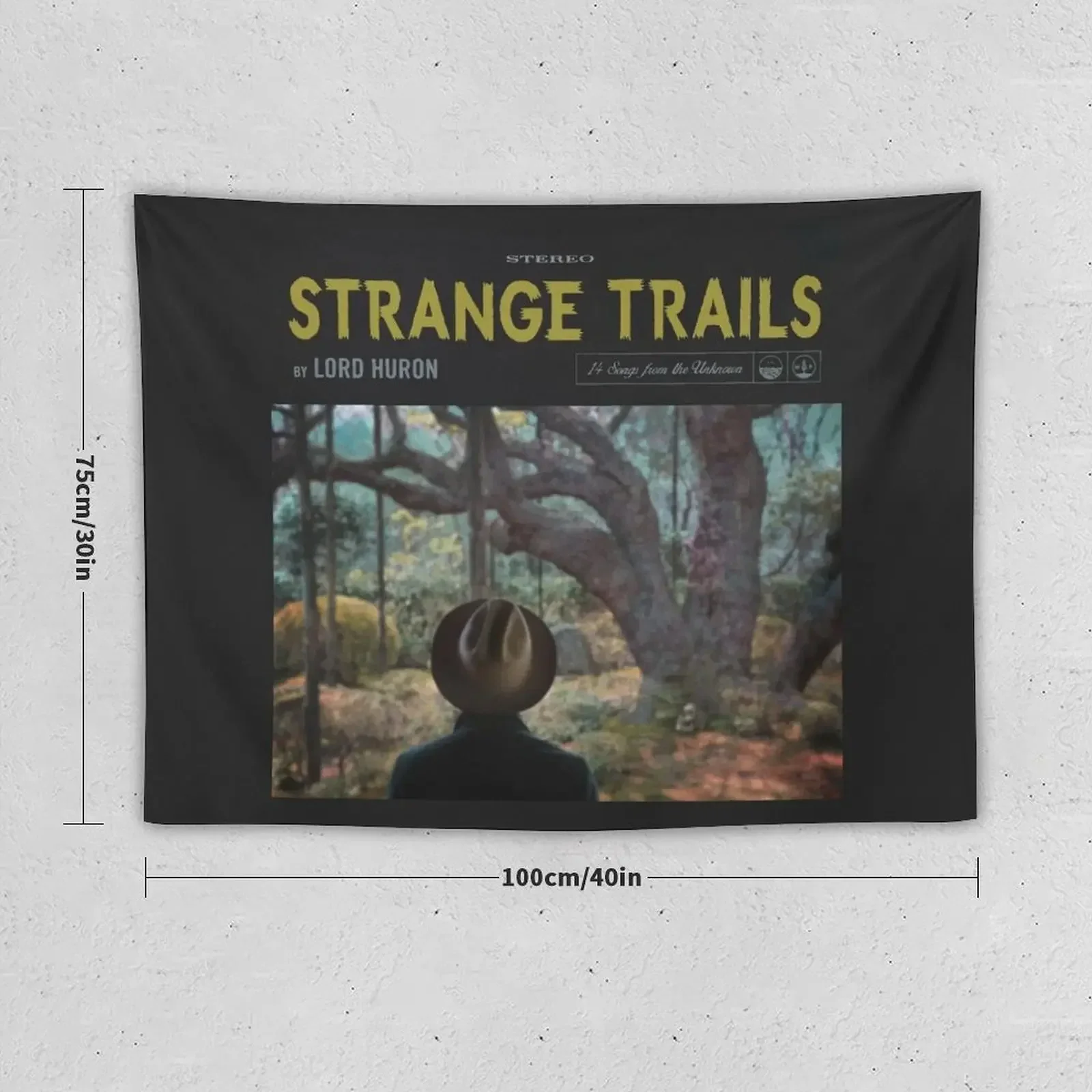 Strange Trails - Lord Huron Tapestry Wall Mural Wall Coverings Bedroom Deco Tapestry