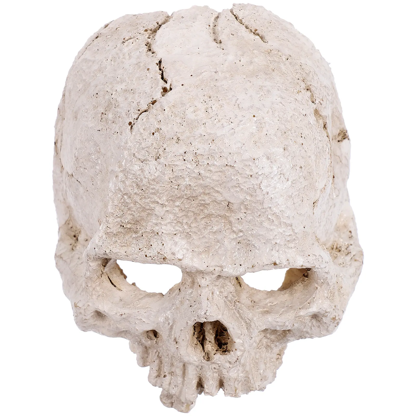 

Реалистичный анатомический декоративный череп человека из смолы, высокодетализированный, для Хэллоуина, учебный инструмент, украшение