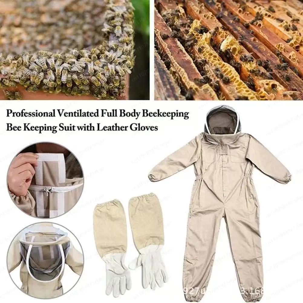 Professional Beekeeping Tools Complete Set - Beehive, Bee Suit & Goat Skin Gloves Included