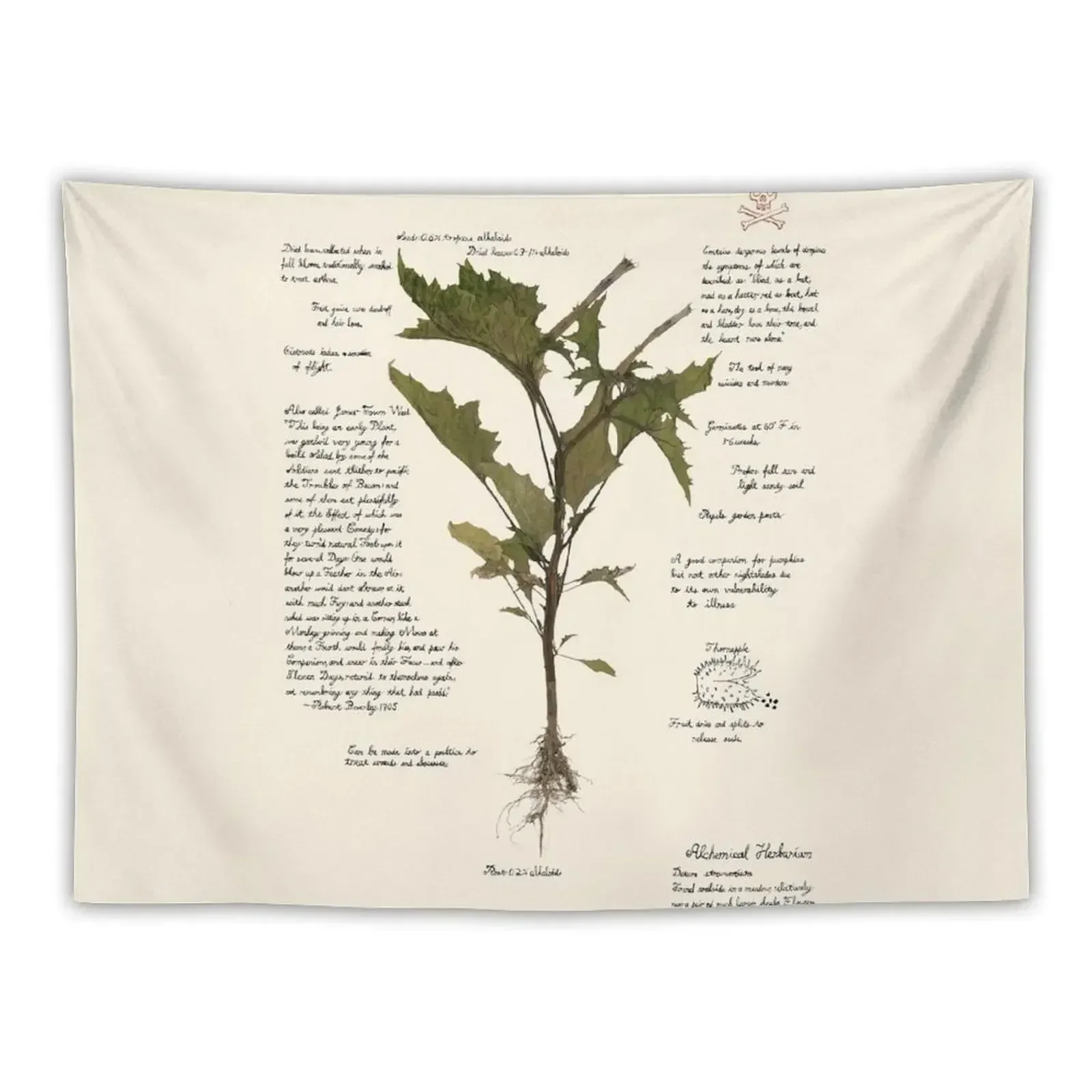 Devil's Snare - Datura stramonium Tapestry Wall Decoration Items Wall Carpet Tapestry