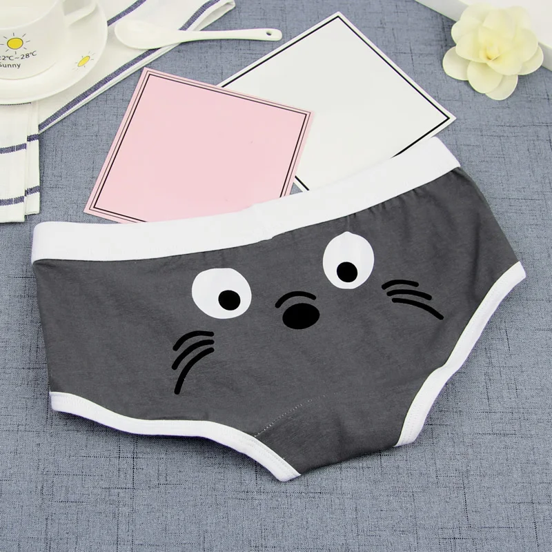 Funny Pink Cute Cartoon Briefs Girls Panties Premium Cotton Underpant Funny Sexy Print Cotton Underwear for Women Women