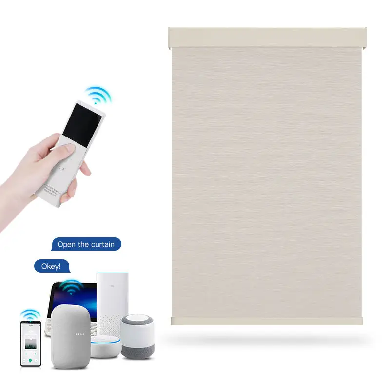Custom Tuya  Polyester Wireless Zigbee Electric Automatic Smart Window Shade Motorized Roller Blind For Kitchen