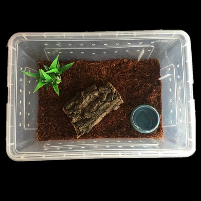 Transparente tragbare Reptilien-Insektenzuchtbox, Beobachtungsbehälter für kleine Haustiere, Bestseller, Behälter für Spinnen und Eidechsen – Detail 3