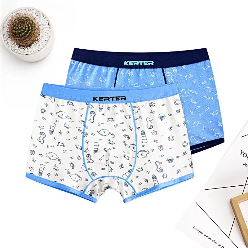 4pcs 100% Cotton Boys Underwear Kids Quality Boxer Boy Shorts Bottoms Boys Clothes for 3 4 6 8 10 12 14 Years Old RKU183004