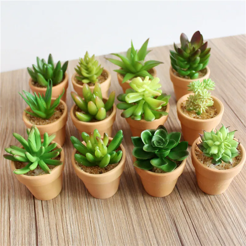 

Mini Artificial Succulent Plants Bonsai Green Cactus Lotus Plant Red Ceramics Flowerpot Home Wedding Christmas Party Decor