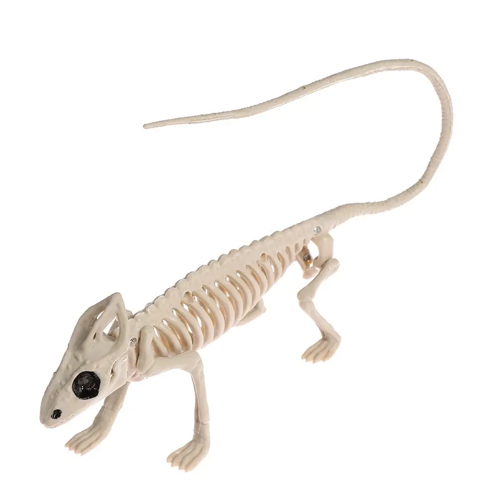 هالوين الديكور الحيوان الهيكل العظمي العظام مخيف العنكبوت الخفافيش الماوس العقرب سحلية بونز الحلي هالوين الرعب الدعائم الطرف