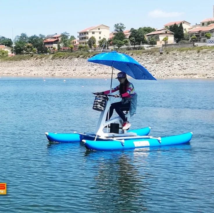 

Inflatable WaterBike Floating Water Bike Pedal Boat For Sale