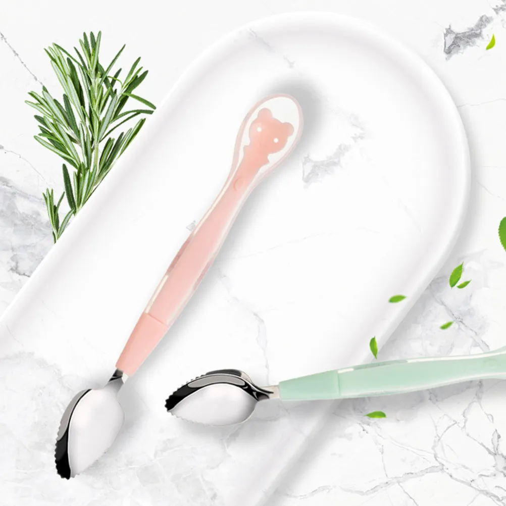 

2Pcs Baby Fruit Spoon Silicone Tip Stainless Steel Feeding Spoon for Toddlers Lovely Ergonomic Design Rice Fruit Puree Scoop