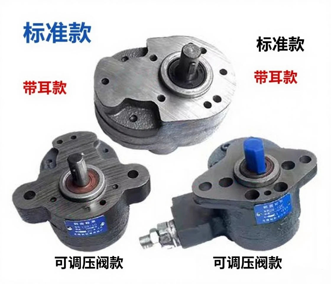 

Гидравлический шестеренный насос серии CB-B B4-B63, имеет различные характеристики, полный комплект аксессуаров для масляных насосов, подходит для промышленного применения.