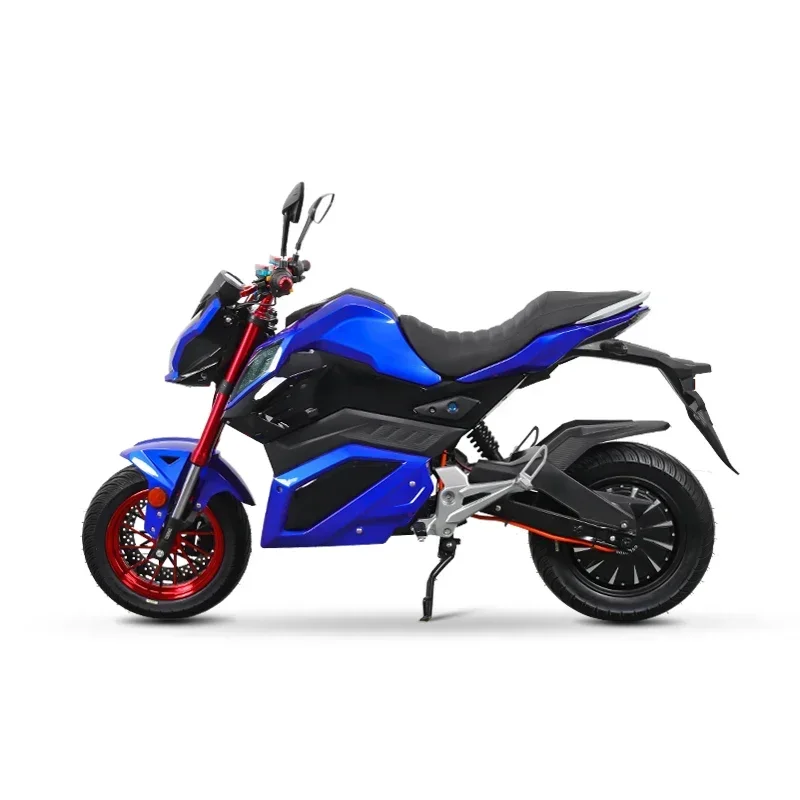 Luyuan MotorcycleChinese Factory 1500W Z6 Plus High Performance Electric Motorcycle for Sale