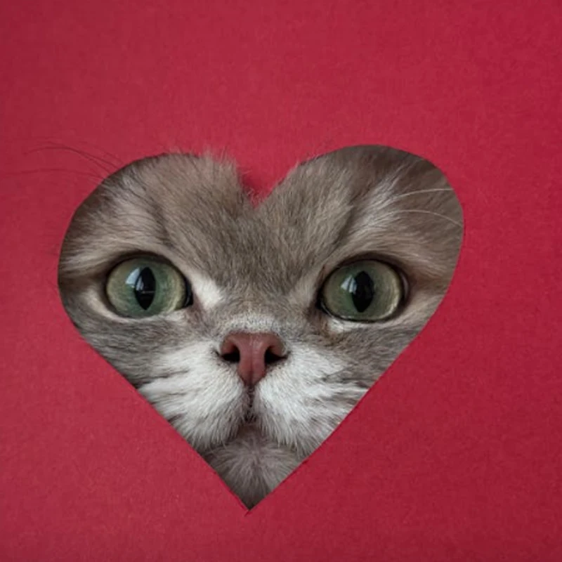 

Зарядное устройство HGLRC Thor 1S V2, 6 портов, макс. 65 Вт, для разъемов PH2.0, MX2.0, A30, BT2.0, для LiHV 1S LiPo аккумуляторов 4.2В, 4.35В