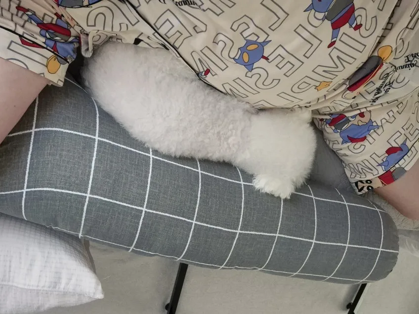 리뷰 사진