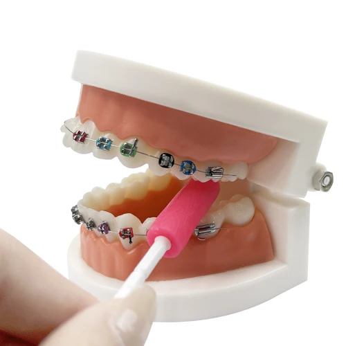 Imagen 2 del producto 2 unids/pack ortodoncia diente masticar dientes palo mordida tirantes invisibles alineadores Chewies sabor a fruta mulit Color bandeja asientos