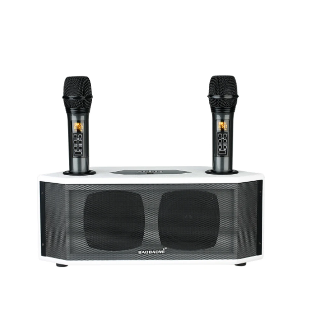 Karaoke Active DSP Portable BT Wireless Speaker with Microphone