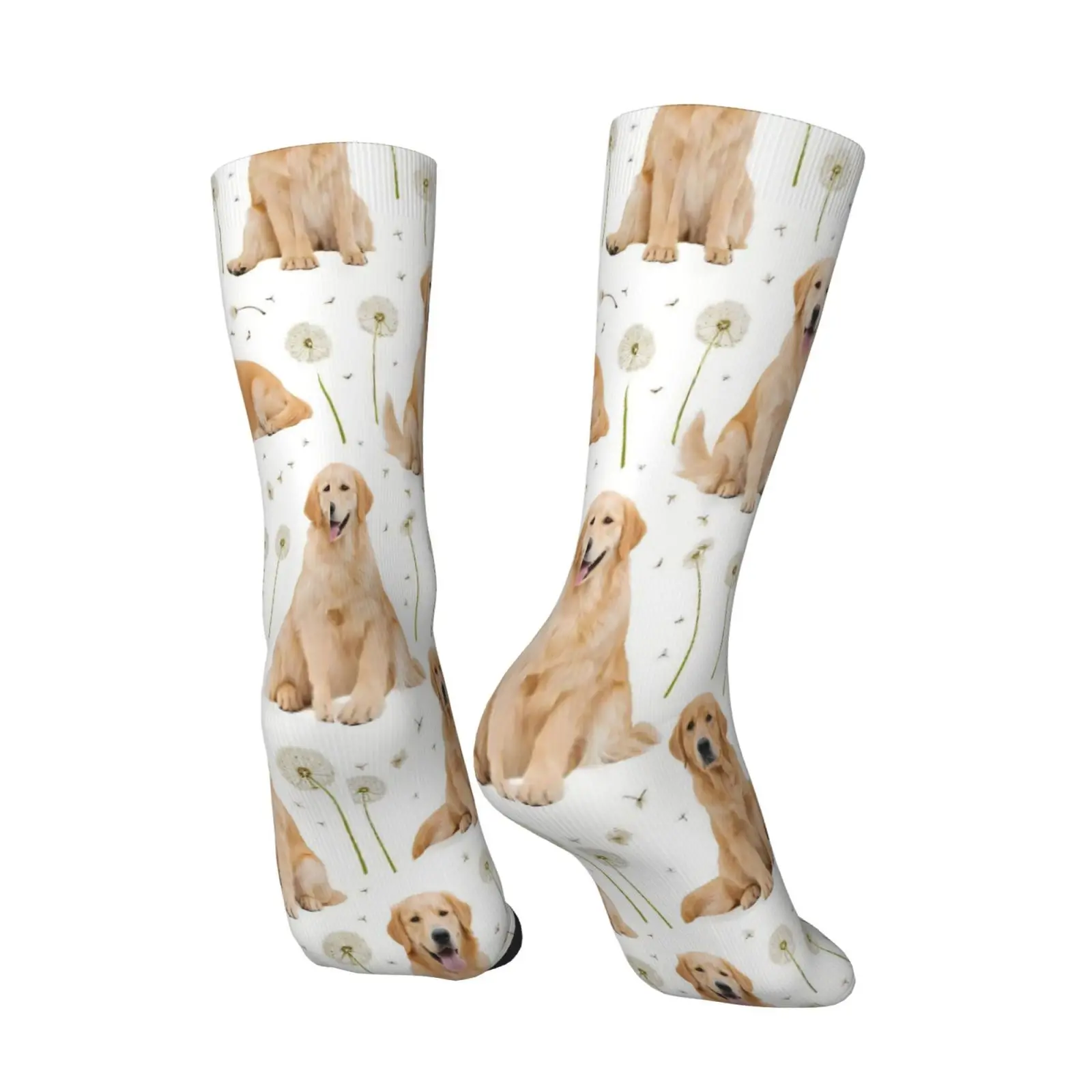 A Pair of Unisex Outdoor Socks Featuring a Golden Retriever And Dandelion Print Machine Washable Suitable for Outdoor Sports