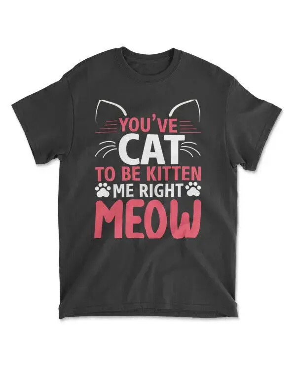 YOUVE CAT TO BE KITTEN ME RIGHT MEOW - Men's Standard T-Shirt