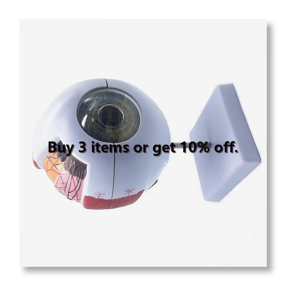 ✼6X Enlarged Human Eye Anatomical Model,Anatomically Accurate Eye Model Human Eye Anatomy for Science Classroom Study