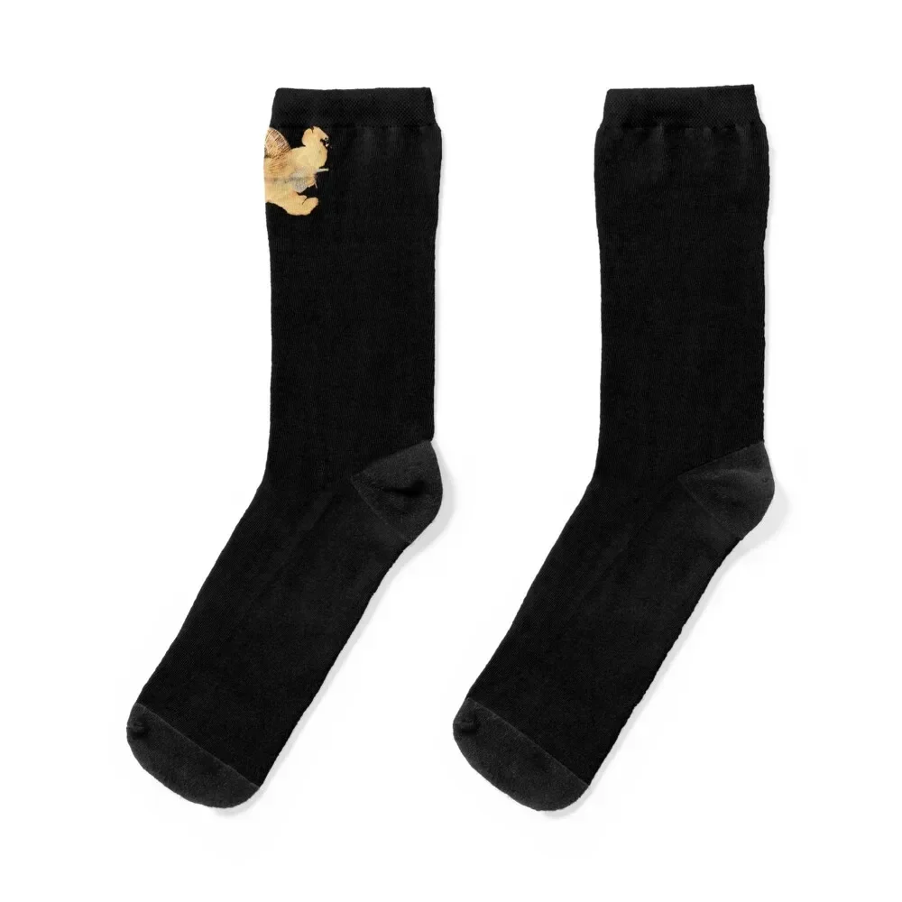 

Edible snail, give children's birthdays, cute animal shirts Socks custom sports Novelties Men's Socks Men's Women's