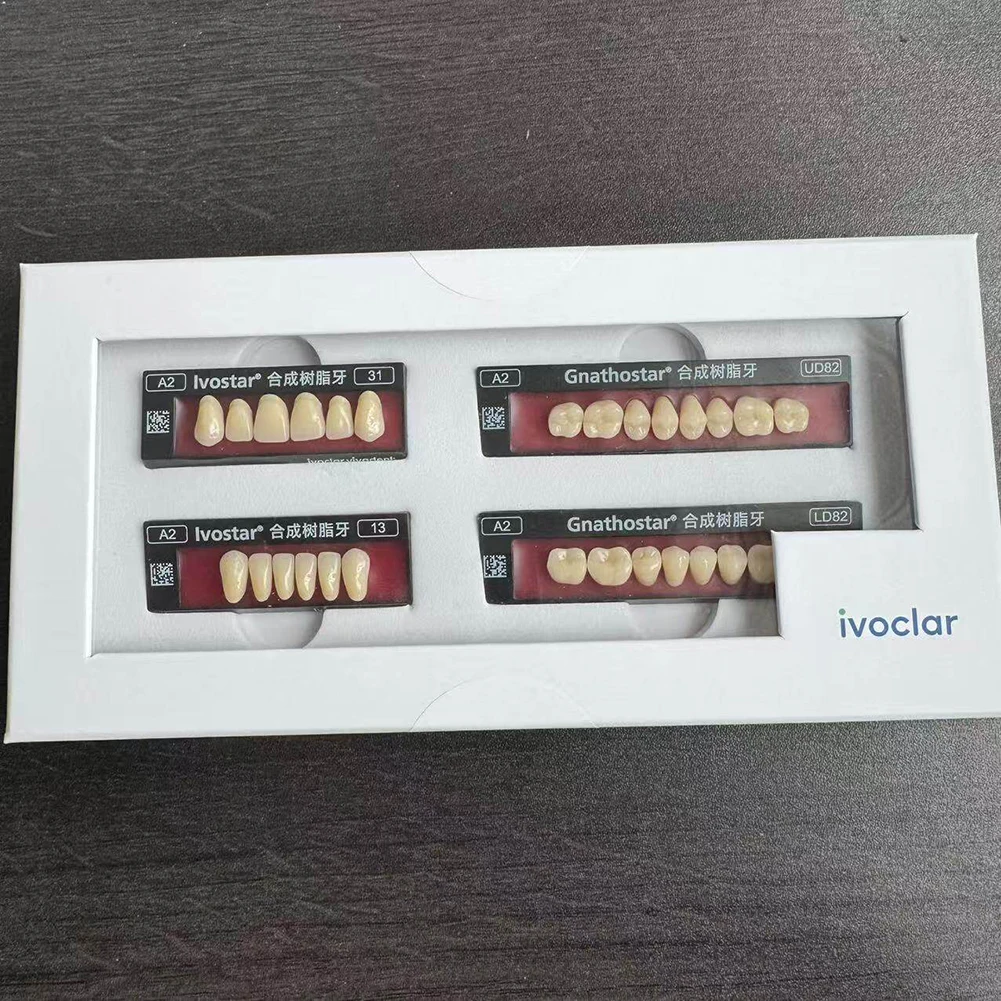 Ivoclar Acrylic Resin Denture Full Mouth False Teeth Set Upper Anterior Lower Posterior A2 Shade SR Saclar Composite Resin Teeth