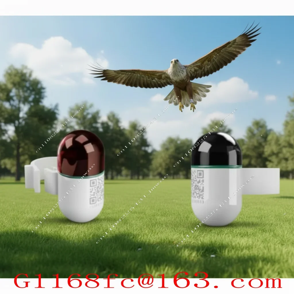 Mini Real-Time GPS Locator Waterproof Pigeon Ring 4G Network GSM Android IOS Trajectory Locator Made Durable Plastic LBS