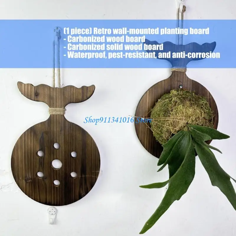 Carbonized Fern Hanging Board Wall Mounted Planter For Vertical Garden