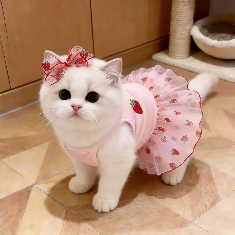 Cute Strawberry Pet Tutu Dress Matching Bow Headband, Summer Sleeveless Mesh Skirt Princess Costume for Small Dogs & Cats