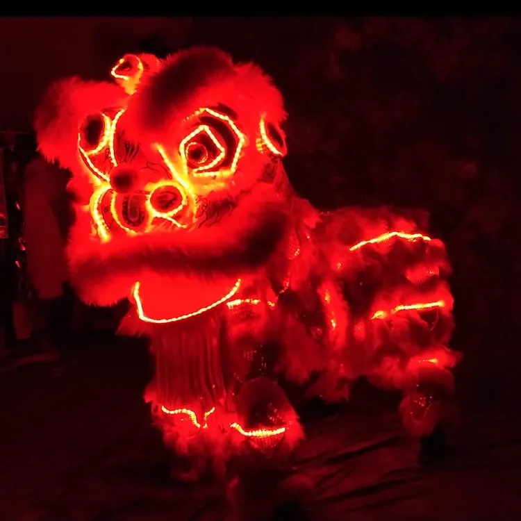 

Двойной танцевальный реквизит льва, китайский традиционный танец дракона, светодиодный светящийся лев, светящийся реквизит южного льва