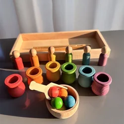 Beech Wooden Rainbow Sorting Toys Early Learning for Kids Pastel Pot Peg Dolls with Balls