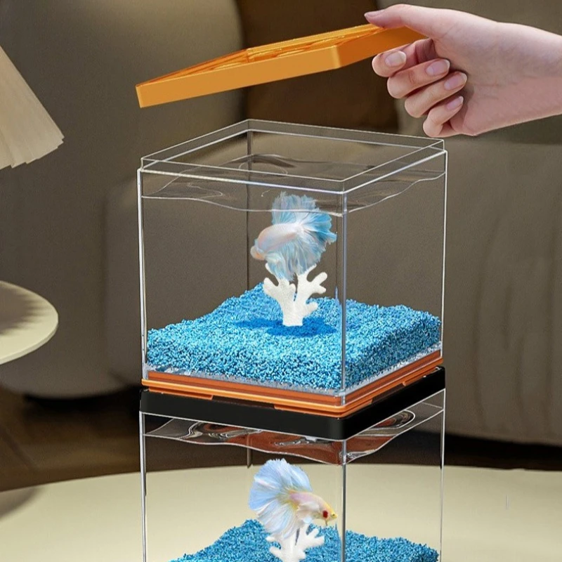 Desktop Betta Tank Small Lands - Aquarium Fish In Bowl review and price
