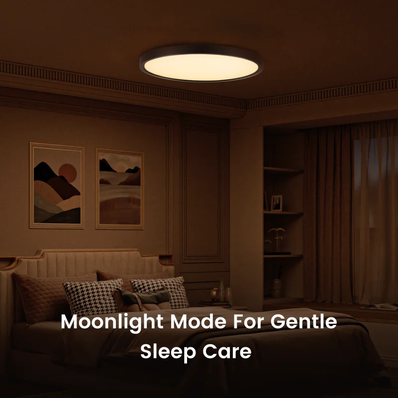 Yeelight Smart Slim LED Ceiling Light Eye Protection Warm White/Cool White Light Wifi Voice Control Suitable For Mi Home APP