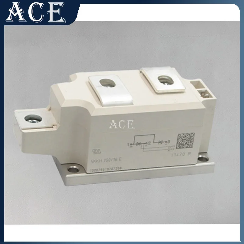 

SKKH250/12E SKKH250/14E SKKH250/18E SKKH250/16E Модуль