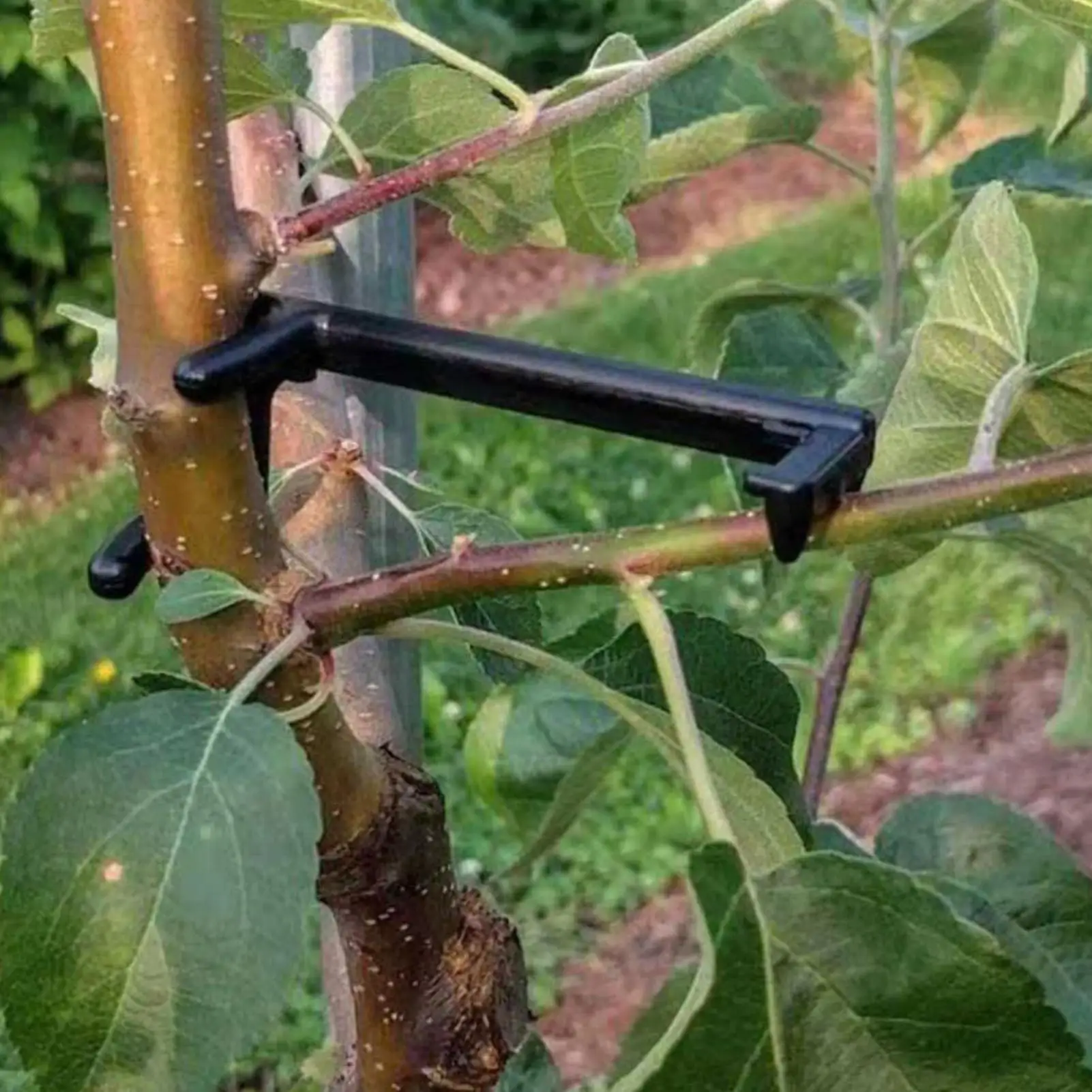 Plant Branch Support 20 Pieces Adjustable Limb Holder Fruit Tree Branch Spreaders For Repair Staking Leaning Gardening Backyard