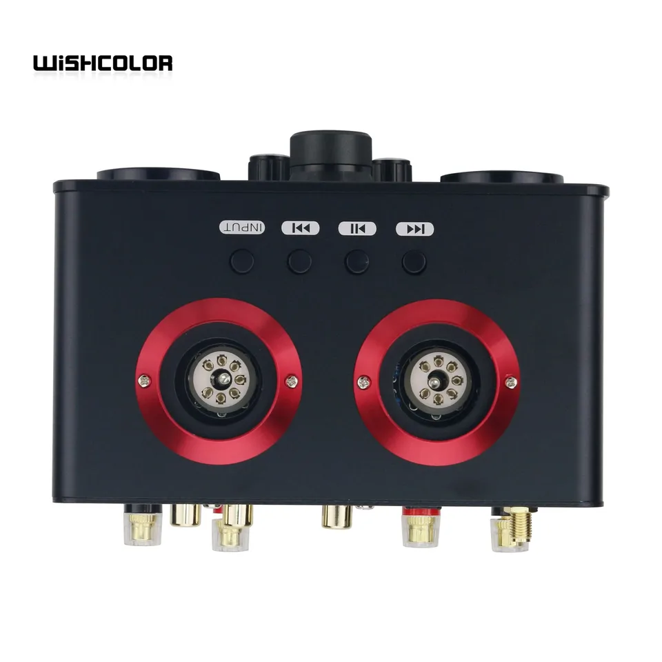 Wishcolor-電子管アンプ,USBフラッシュドライブ,Bluetooth,hifi